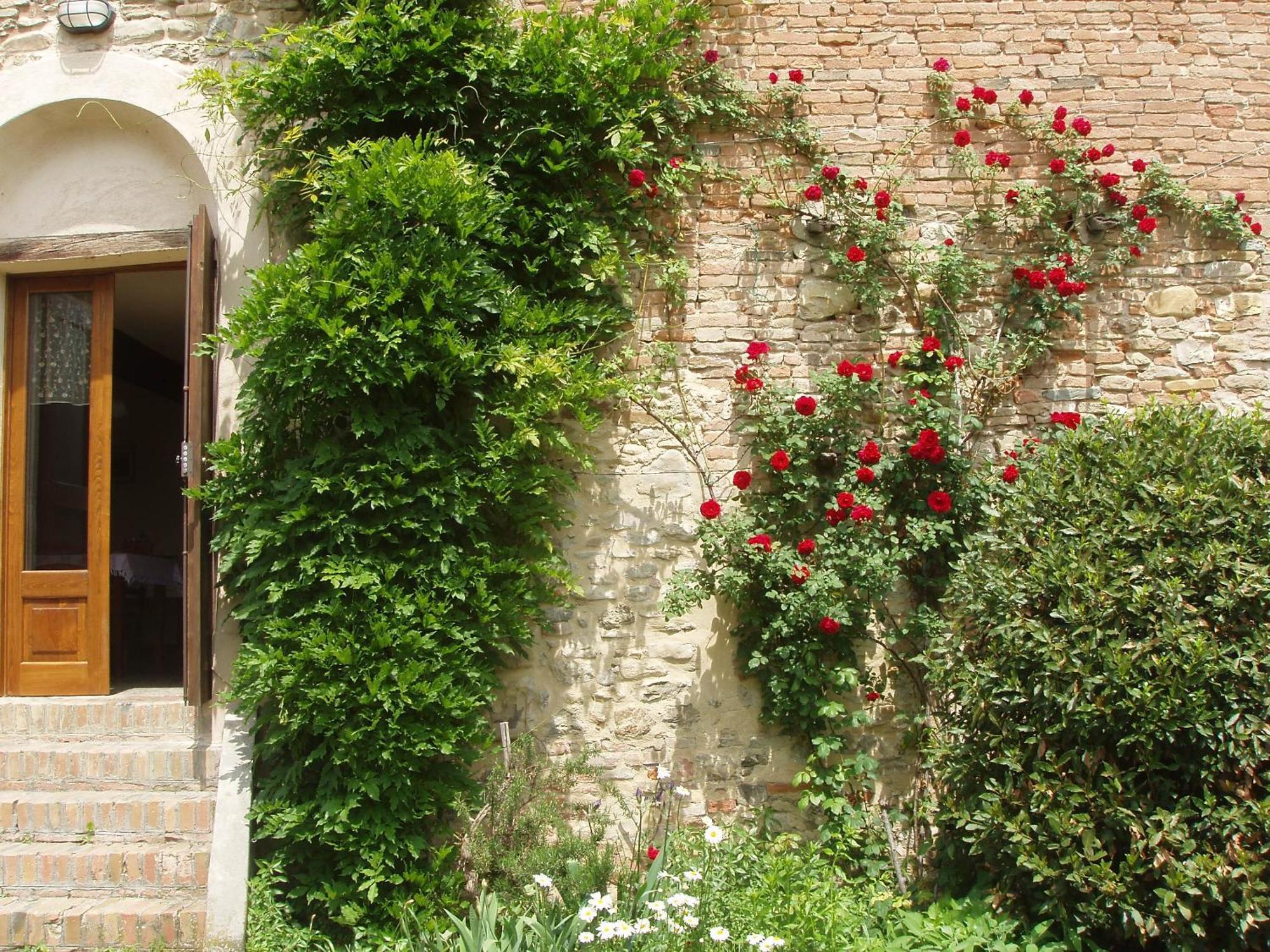Agriturismo Ca' Bertu' Zappolino Exterior foto